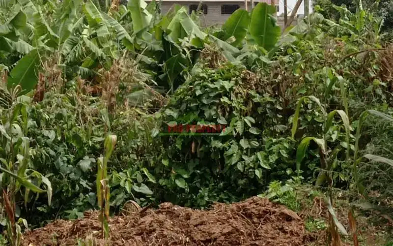 Muthure Kikuyu land for sale